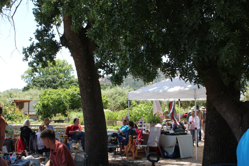 group spinning under tree