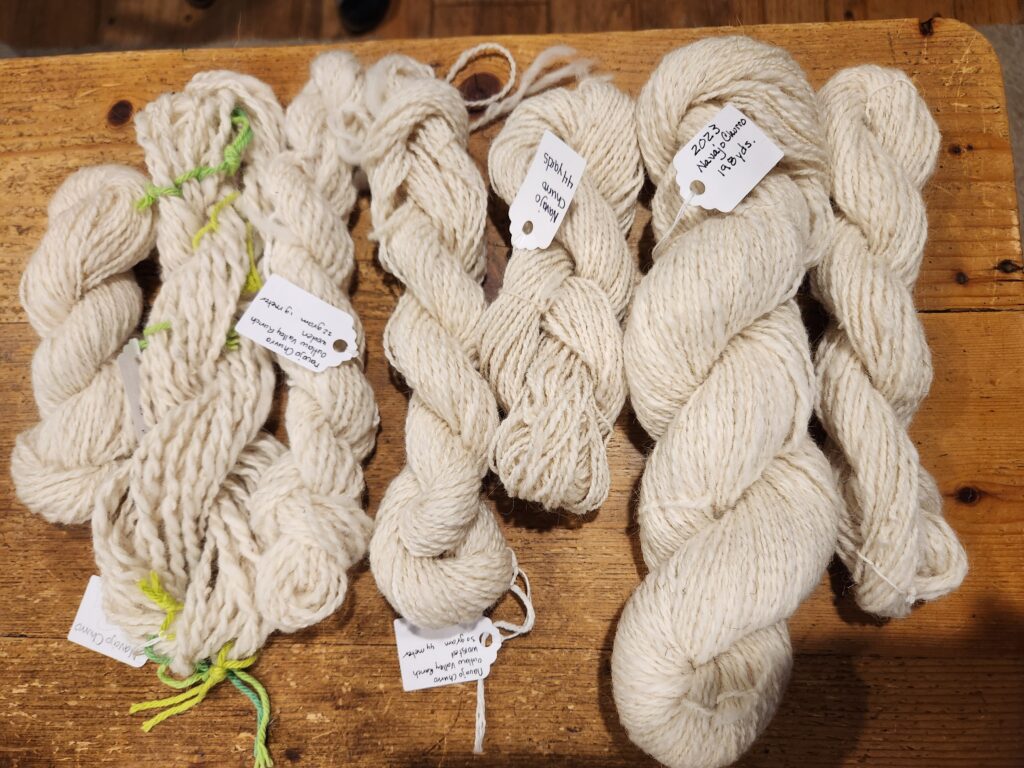 Spun Navajo Churro skeins