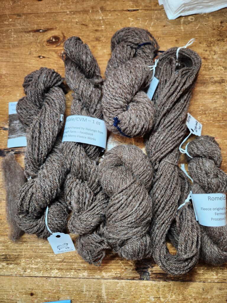 Spun Romeldale/CVM skeins