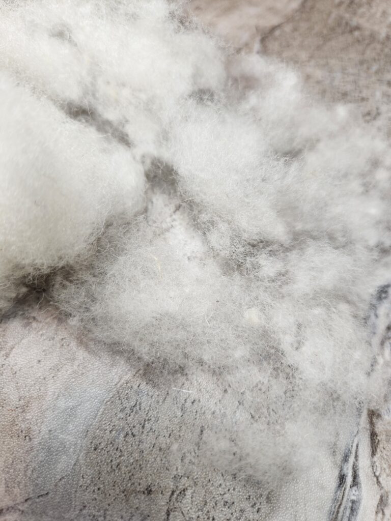 Texelaar wool dregs from carding