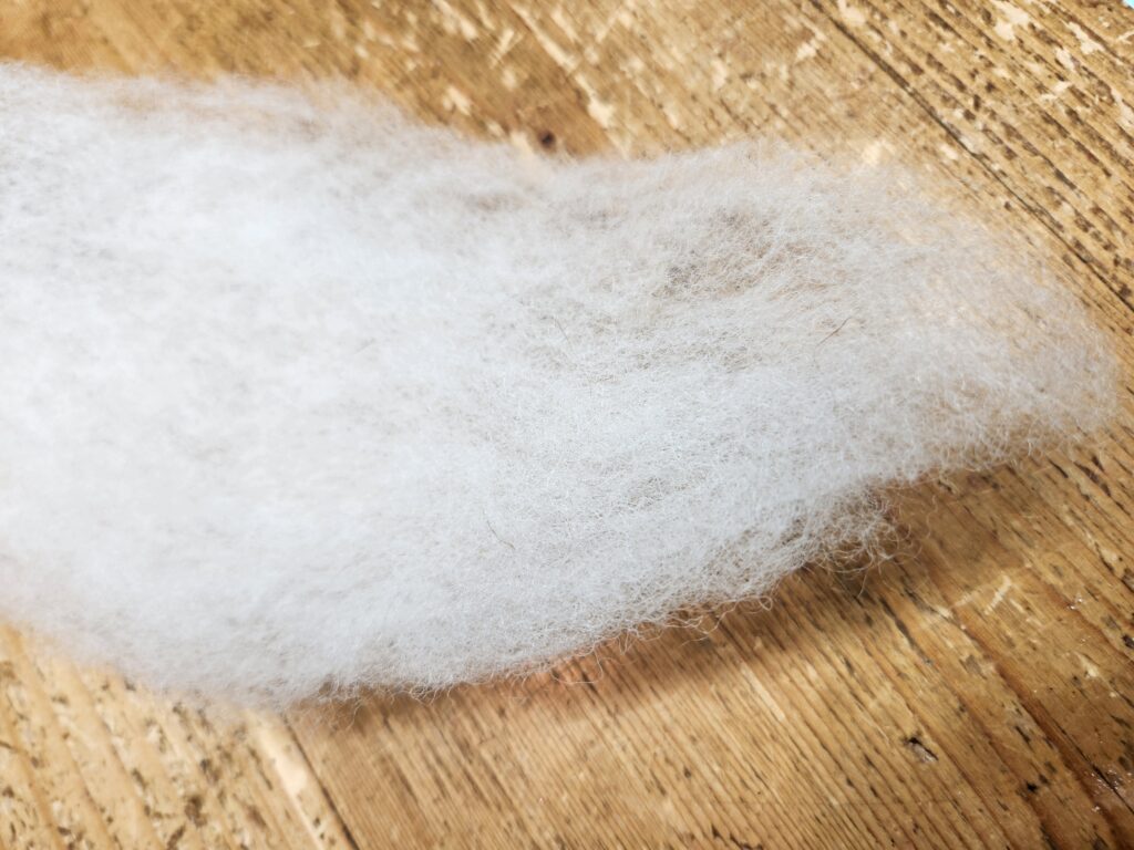 Texelaar wool after carding