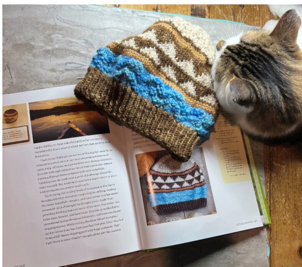 blue and brown hat