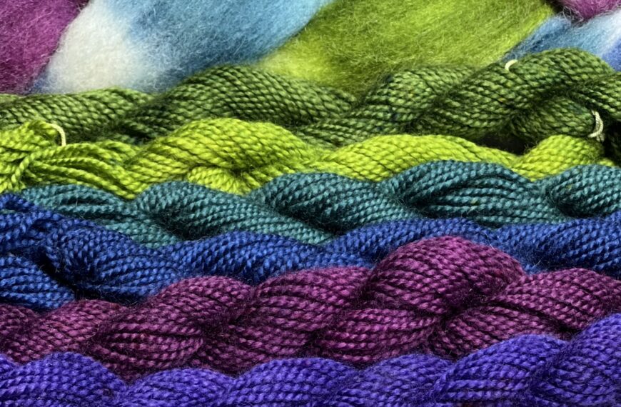 Dyed roving and skeins of yarn