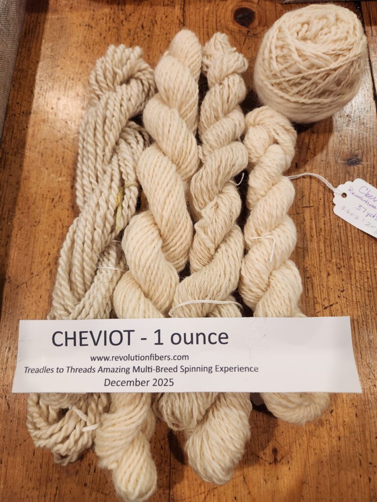 Spun skeins of Cheviot