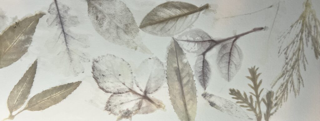 leaves printed on paper